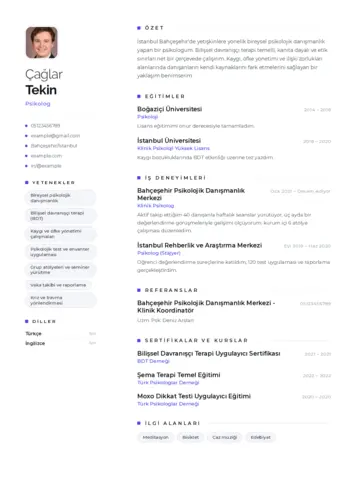 Psikolog CV Örnekleri cv indir